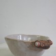 蛙鉢・陶土、釉、顔料・2010